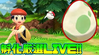 【ポケモンBDSP】孵化厳選おもろすぎんか？？？【ダイパリメイク】
