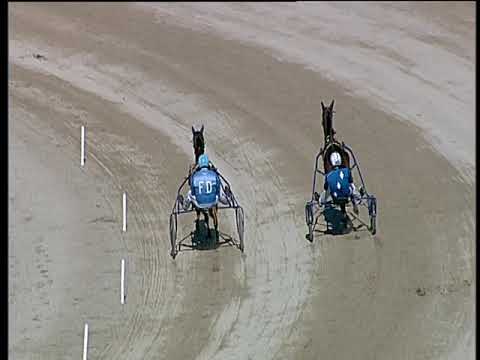 Trotto 09/10/2018 - 2ª prova di qualifica