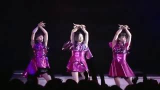 Perfume - Cling Cling Live