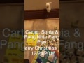 Carter Sophia Fang Playing 12 24 2016