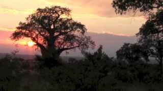 Erik Evermore - African Sundown