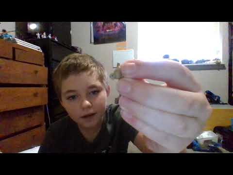 Halfling druid review