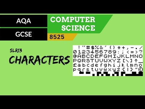 80. AQA GCSE (8525) SLR13 - 3.3 Characters