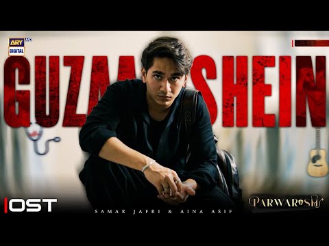 AUDIO: GUZAARISHEIN - PARWARISH OST | SAMAR JAFRI | ALISTAIR ALVIN | ARY DIGITAL