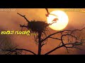 Ondanondu Kaaladalli Jo Lali Nandi Kannada Movie Song Mother Feeling Song Kannada Whatsapp States