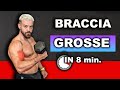 BRACCIA ENORMI CON DUE MANUBRI Allenamento Completo