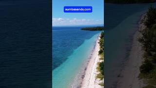Download lagu New Paradise!🌴 #sumba #travel #beach #paradise #highroi #investinparadise #indonesia #landforsale mp3