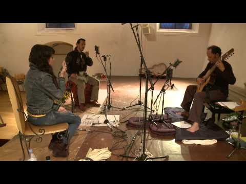 Songs of the plants - Miguel Guldimann with Yerpun Solar & Ruth Untoria