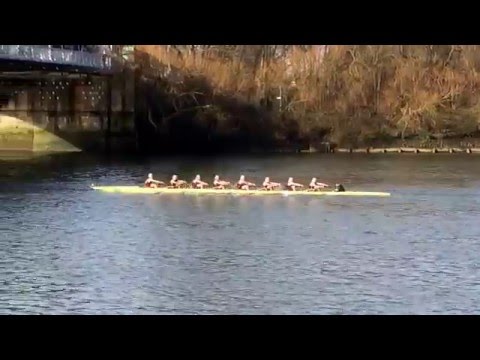 Bristol Uni Men's 1st 8+ Quintin Head 2016