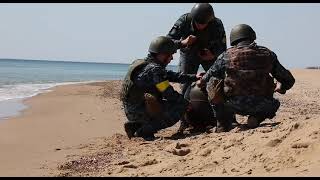 Одесские саперы показали, как обезвреживают огромные морские мины РФ, прибитые к берегу пляжа (видео)