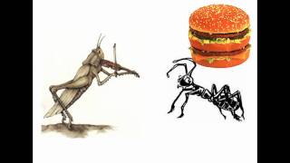 La cicrane et la froumi HD