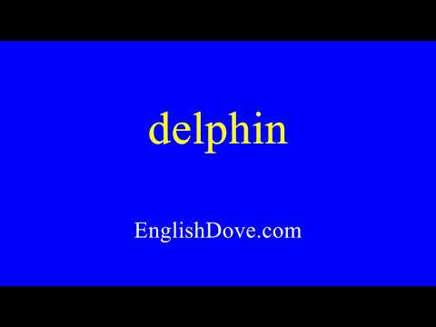 How to pronounce delphin in American English