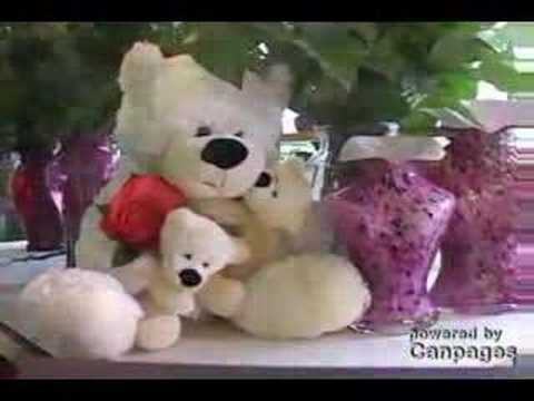 download lagu mp3 mp4 Send Flowers Vancouver, download lagu Send Flowers Vancouver gratis, unduh video klip Send Flowers Vancouver