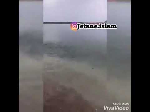 Mrekulli - Allahu ekber