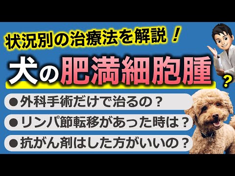 犬の肥満細胞腫瘍:症状、予後、治療