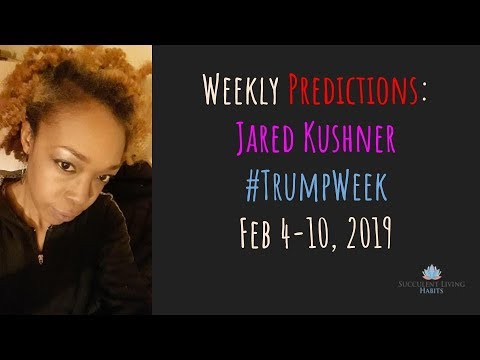 75. 🔮 What does Jared Kushner's week look like? 🔮 | Feb 4 - 10, 2019