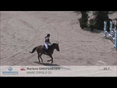 Springpony Marc O´Polo Lamprechtshausen 2016