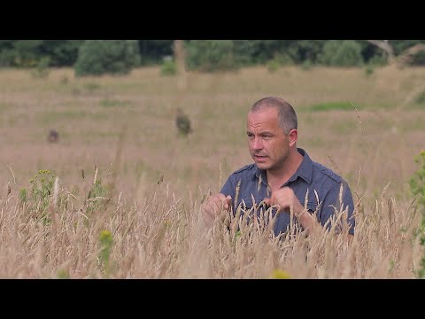 BuitenGewoon 25 augustus 2018