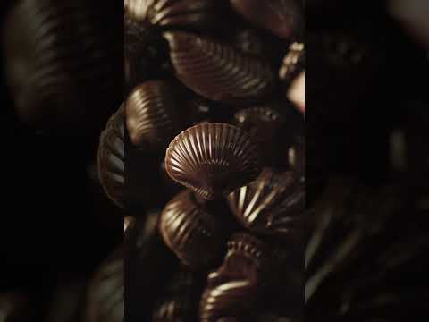Guylian Dark Praline 1080x1920 10 UK