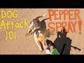 DOG ATTACK 101 5TH EDITION W BIG TEX AMPUTEE CYCLIST AARON SMITH Of Gainesville TX Pimienta Perros