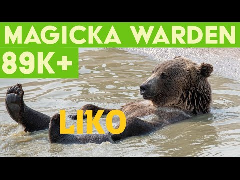 Magicka Warden PVE Build (89k+) - Stonethorn - Elder Scrolls Online ESO