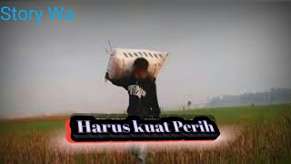 Download lagu Story Wa Sewates Kerjo mp3