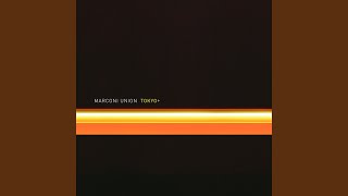 Akihabara (Electric Town) +