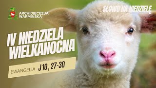 SŁOWO NA NIEDZIELĘ - IV NIEDZIELA WIELKANOCNA ROK C [11.05.2025 r.] abp Józef Górzyński