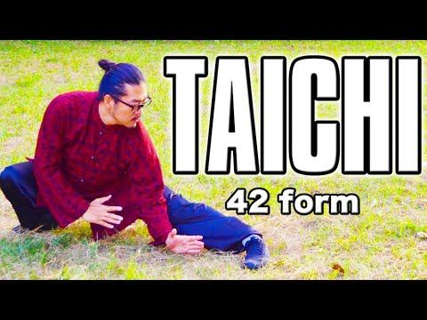 Tai Chi｜42 form Tai Chi ｜Amazing World Champion