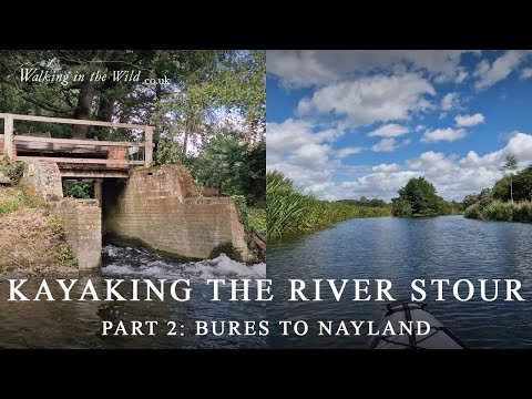 Kayaking the River Stour - Part 2: Bures to Nayland