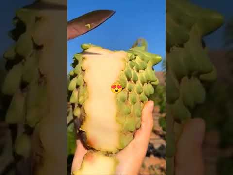 Oddly Satisfying Mustard Apple