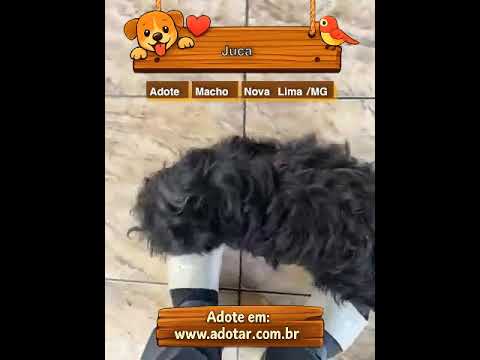 Vídeo de Juca
