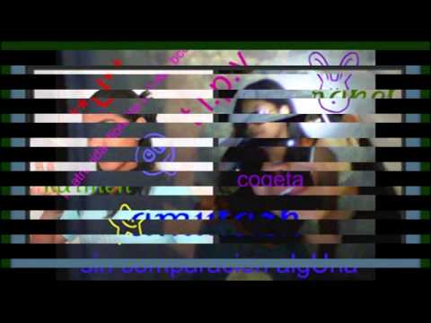 DE LAO a LAO COMO LOS PINGUINOS .mp4