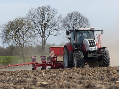 Siew kukurydzy na większą skalę!* Steyr CVT 6130 & Kverneland Accord Optima & Claas Scorpion 7045