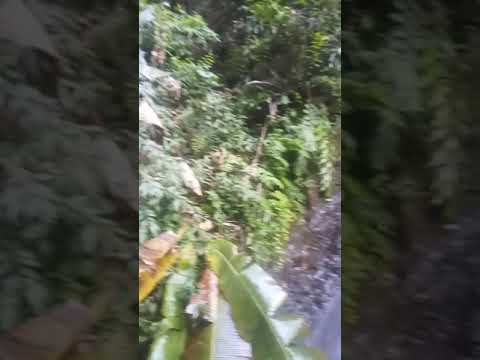 Chintan Vilas waterfall