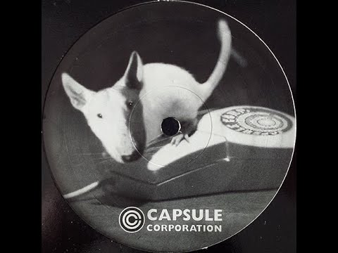 Capsule Corporation - pm_005 [A1]