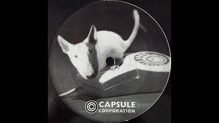 Capsule Corporation - pm_005 - [A1]