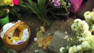 Beirut - "My Wife" - Music Video