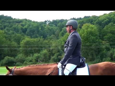 Thomas Wieser - Sir Ronaldo W - A-leicht - Feldbach 1-3.9.2017