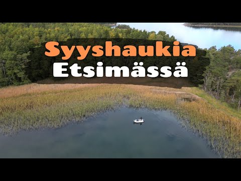 Syksyn haukea [ Hauen kalastusta syksyllä merellä ]