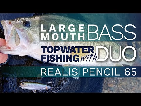 Largemouth Bass Topwater Fishing with Duo Realis Pencil 65