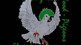 Junkies-the Neglected Wood Pigeons