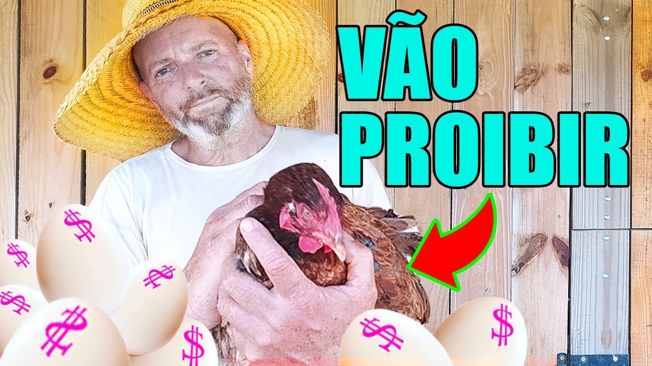 (That's all we needed) EXPENSIVE Eggs and THE END of Chicken Farming! 🥚🐔