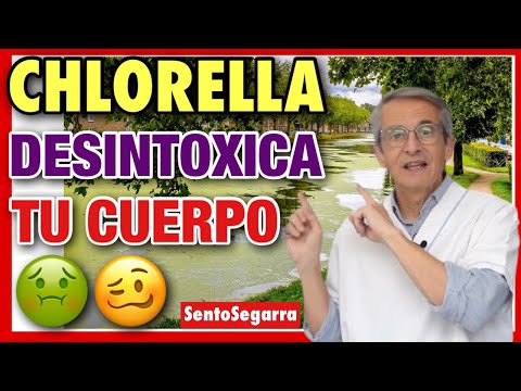 ✅ CHLORELLA 👉 PROPIEDADES ✌️BENEFICIOS ❤️ ¿Cómo TOMARLA?