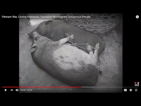 Vietnam War, Central Highlands, Operation Montagnard, Indigenous People.
