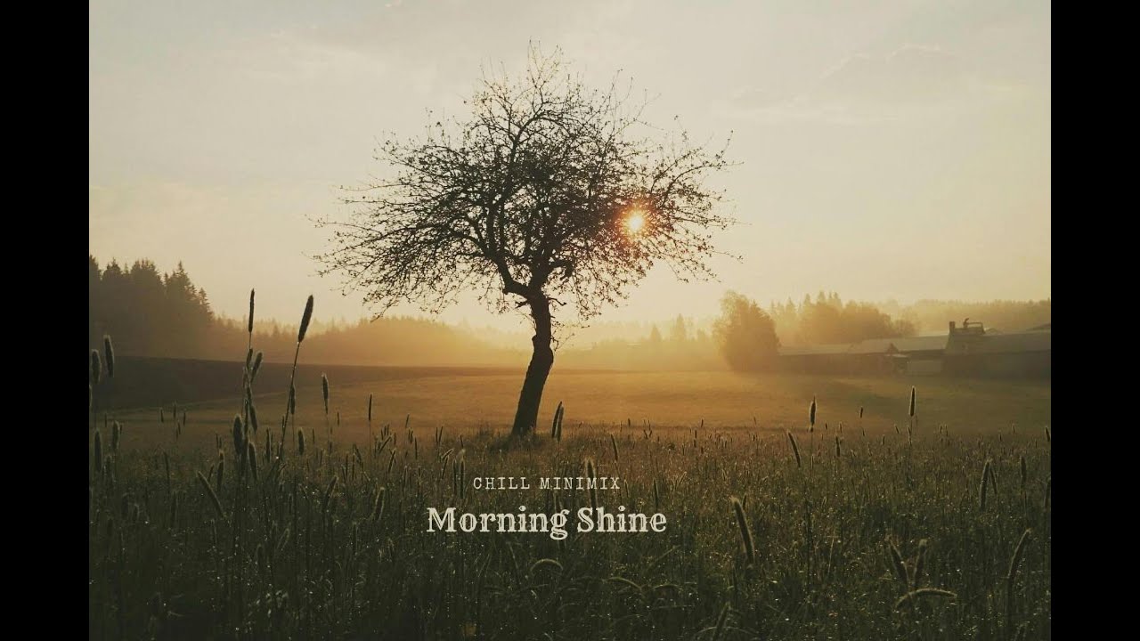 Positive Mornings 🌅 Relaxing Music to Start Your Day with a Smile