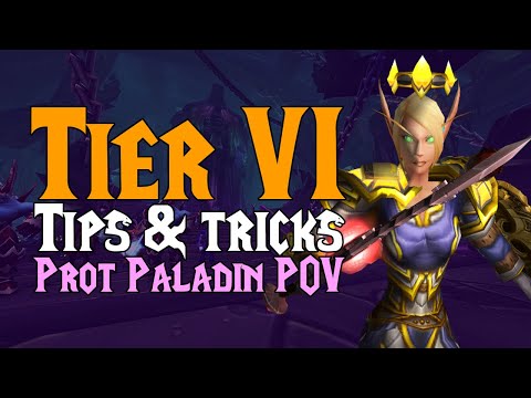 Prot Paladin Thoughts on All T6 Bosses - TBC Classic