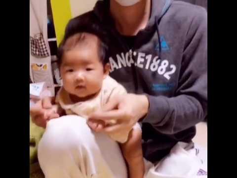 湿原乗馬草、庭の砂パイプ 植物