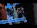 Review Of The 2012 DVD Opening Of Ice Age Continental Drift