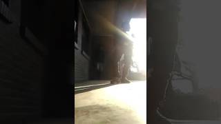 Baby teo baby ayo baby king imprint